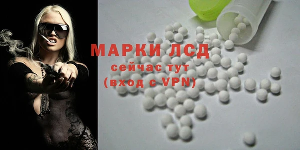 дживик Абаза